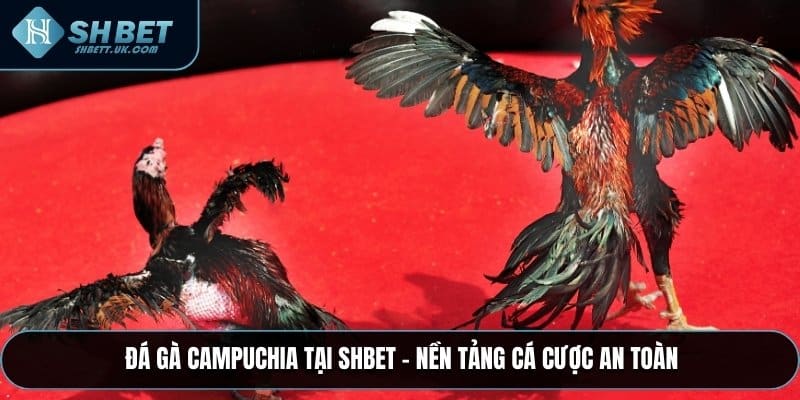 Đá Gà Campuchia