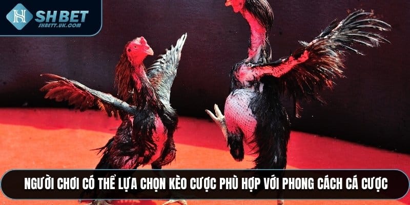 Người chơi có thể lựa chọn kèo cược phù hợp với phong cách cá cược