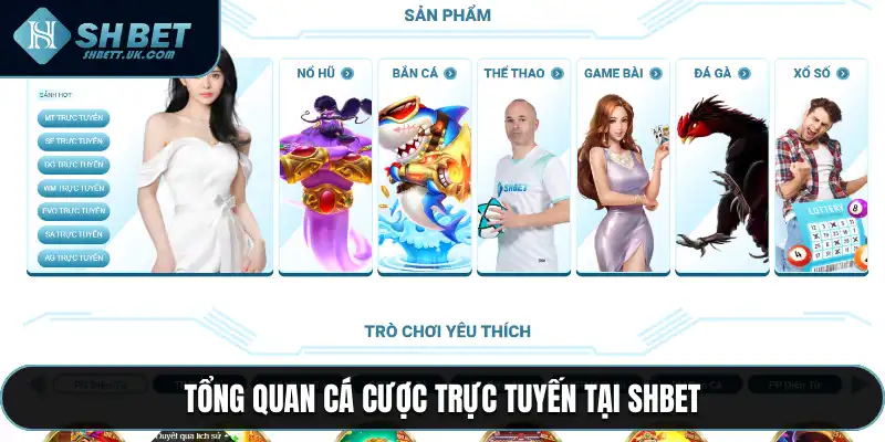 Tổng quan cá cược trực tuyến tại SHBET