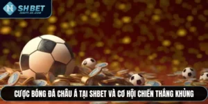 Cược Bóng Đá Châu Á