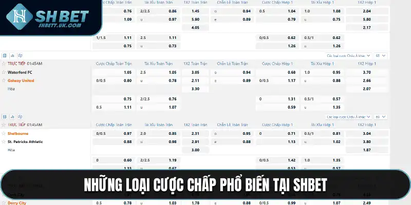 Những loại cược chấp phổ biến tại SHBET