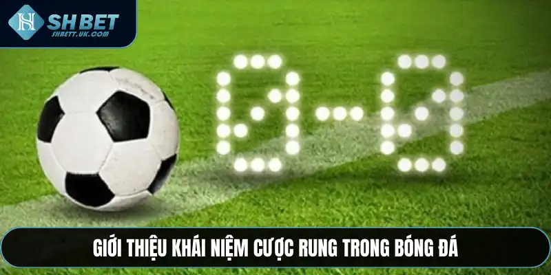 Giới thiệu khái niệm cược rung trong bóng đá
