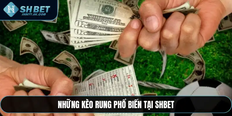 Những kèo rung phổ biến tại SHBET