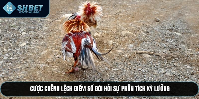 Cược chênh lệch điểm số đòi hỏi sự phân tích kỹ lưỡng