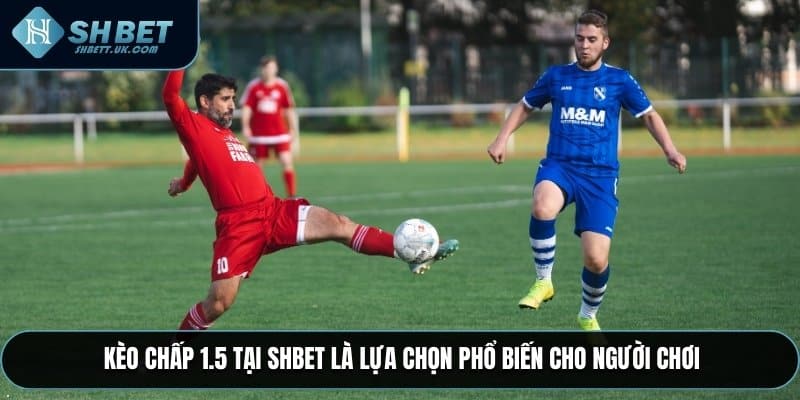Kèo chấp 1.5 tại SHBET là lựa chọn phổ biến cho người chơi