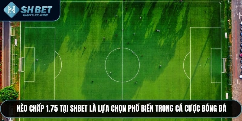 Kèo chấp 1.75 tại SHBET là lựa chọn phổ biến trong cá cược bóng đá