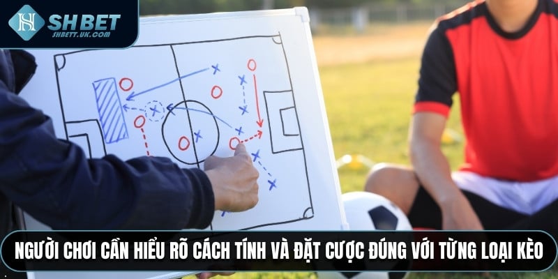 Người chơi cần hiểu rõ cách tính và đặt cược đúng với từng loại kèo