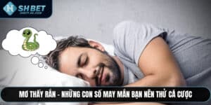 Mơ Thấy Rắn