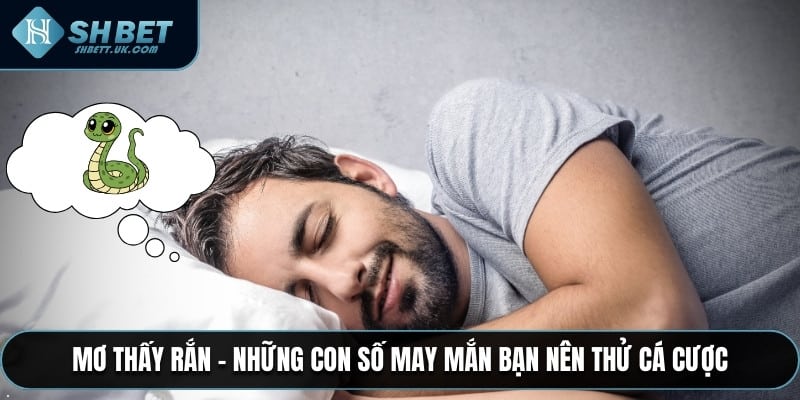 Mơ Thấy Rắn