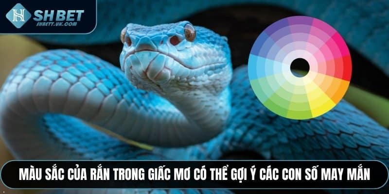 Màu sắc của rắn trong giấc mơ có thể gợi ý các con số may mắn