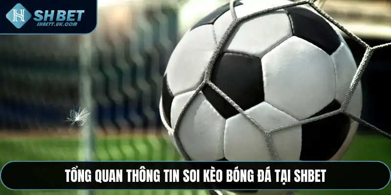 Tổng quan thông tin soi kèo bóng đá tại SHBET