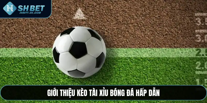 Giới thiệu kèo tài xỉu bóng đá SHBET hấp dẫn