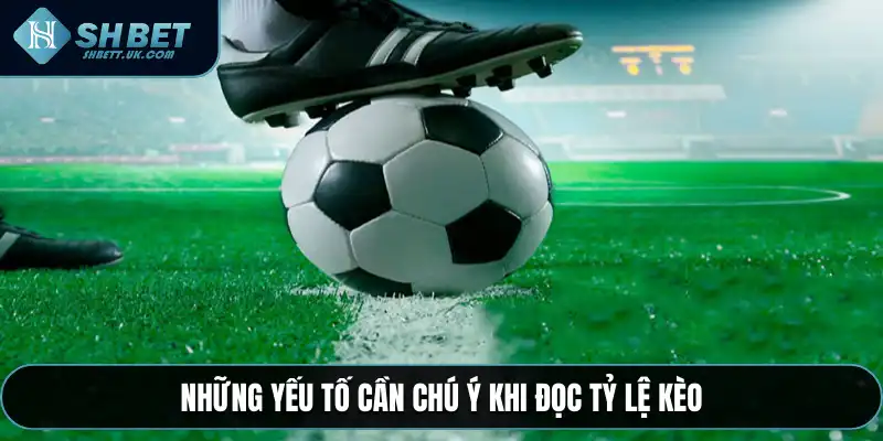 Những yếu tố cần chú ý khi đọc tỷ lệ kèo