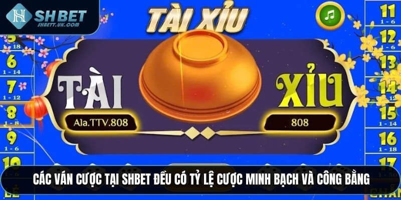 Các ván cược tại SHBET đều có tỷ lệ cược minh bạch và công bằng