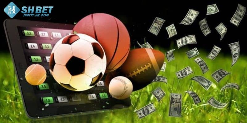 SHBet cung cấp tỷ lệ kèo bóng đá cực kỳ đa dạng