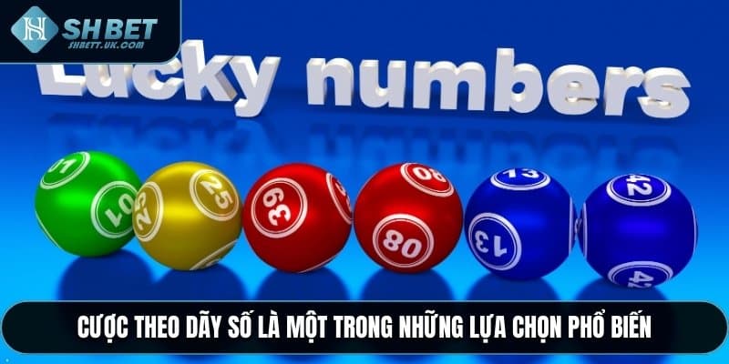 Cược theo dãy số là một trong những lựa chọn phổ biến