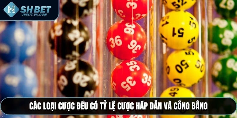 Các loại cược đều có tỷ lệ cược hấp dẫn và công bằng